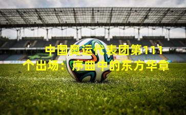  中国奥运代表团第111个出场：序曲中的东方华章