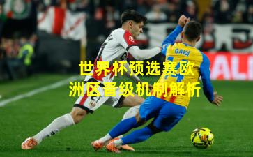 世界杯预选赛欧洲区晋级机制解析