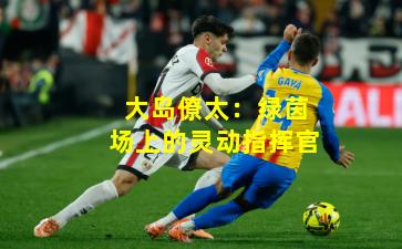 大岛僚太:绿茵场上的灵动指挥官