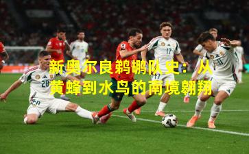 新奥尔良鹈鹕队史:从黄蜂到水鸟的南境翱翔