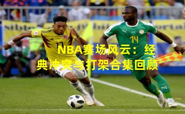 NBA赛场风云：经典冲突与打架合集回顾