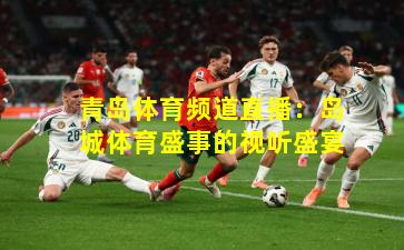 青岛体育频道直播:岛城体育盛事的视听盛宴
