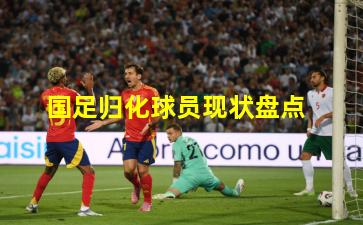 国足归化球员现状盘点