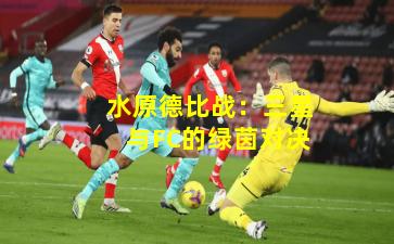 水原德比战：三星与FC的绿茵对决