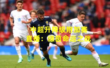 中超升降级附加赛直播：绿茵命运之战