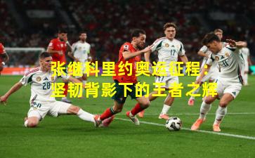 张继科里约奥运征程：坚韧背影下的王者之辉